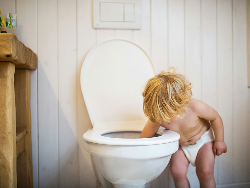 Toddler putting his arm in a clean toilet